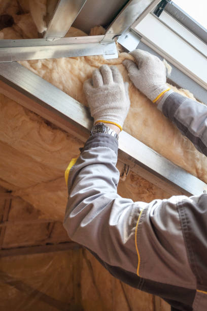 Best Insulation Maintenance and Repair in Clifton, IL