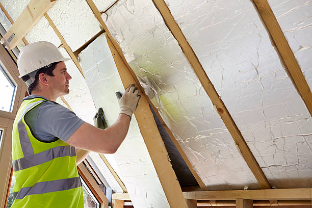 Best Specialty Insulation in Clifton, IL