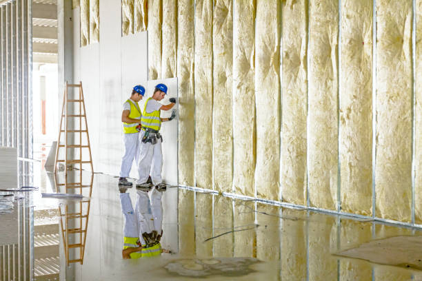 Best Residential Insulation in Clifton, IL